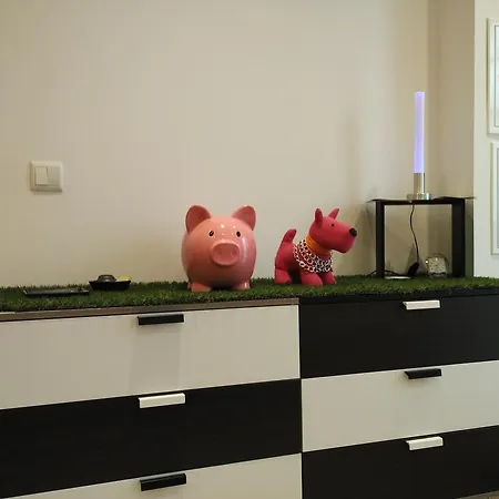 公寓 太阳之窗公寓 *